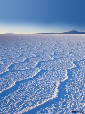 Global warming - Cracks in the ice, the result of global warming.