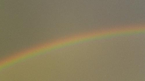 rainbow - after the rain...a beautiful rainbow really near my house