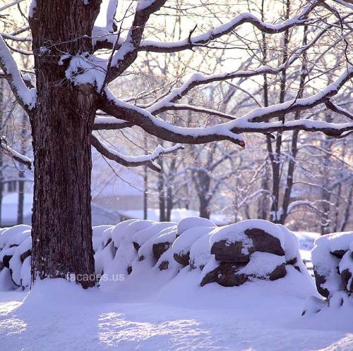 Place covered with snow - Place covered with snow, another beautiful face of nature.