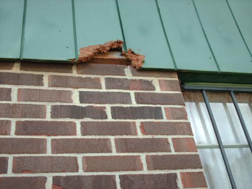A Hole In My House - Some animal made this hole I say a squirrell