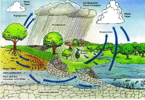 Rain_Water_Harvesting - Rain_Water_Harvesting...