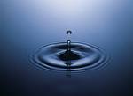 Drop of water in a still pond - A gentle drop of water into a still pond.