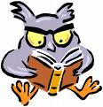 Reading Owl - A little owl engrossed in a good book.