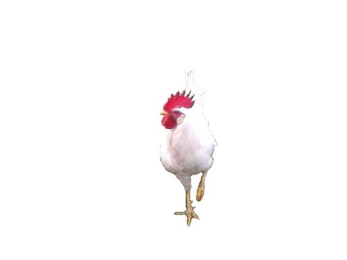 That's my.... - That's my pet.