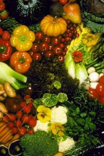 Vegetables  - About Vegetables