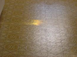 Puddle of Gold - The setting sun gave me a pile of gold on my floor this evening, what a nice thing to do!