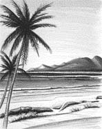 beach scene with oceanwater and palm trees - beach scene with ocean water and palm trees