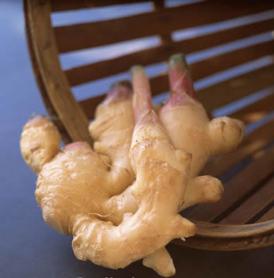 Ginger - Ginger is a traditional sickness remedy. Take before traveling. 