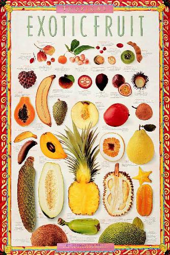 fruit - about fruit