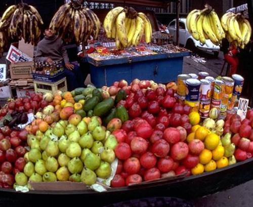 fruits - about fruits