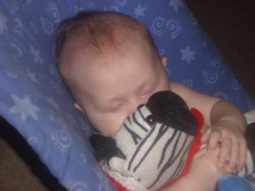 Sleeping Baby Girl - Sleeping Baby Girl with stuffed animal.