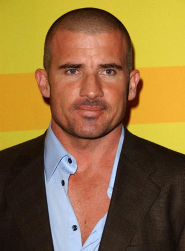 Lincoln Burrows/Dominic Purcell - Falsely accused of the murder of Terrence Steadman and sentenced to death for the crime. He evaded authorities after escaping from prison and has been exonerated of all charges. Currently free, he has successfully assisted Michael and James Whistler to break out of Sona. As of Season 4, he is now part of Self's covert 'A-Team' assembled to bring down The Company.
