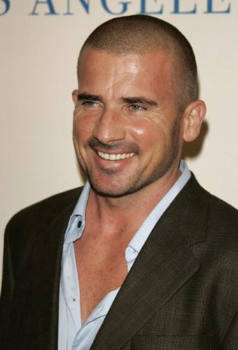 Lincoln Burrows/Dominic Purcell - Falsely accused of the murder of Terrence Steadman and sentenced to death for the crime. He evaded authorities after escaping from prison and has been exonerated of all charges. Currently free, he has successfully assisted Michael and James Whistler to break out of Sona. As of Season 4, he is now part of Self's covert 'A-Team' assembled to bring down The Company.