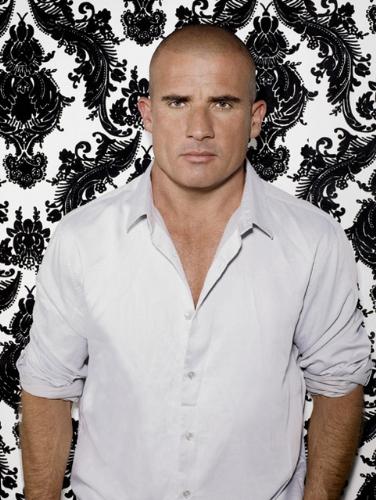 Lincoln Burrows/Dominic Purcell - Falsely accused of the murder of Terrence Steadman and sentenced to death for the crime. He evaded authorities after escaping from prison and has been exonerated of all charges. Currently free, he has successfully assisted Michael and James Whistler to break out of Sona. As of Season 4, he is now part of Self's covert 'A-Team' assembled to bring down The Company.