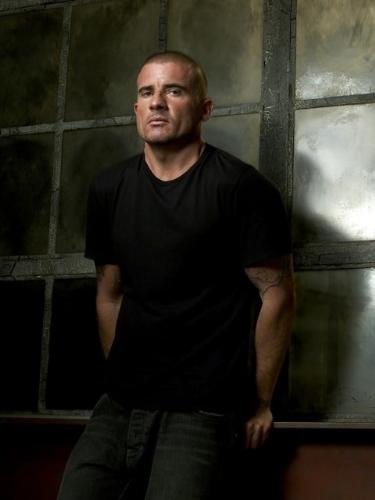 Lincoln Burrows/Dominic Purcell - Falsely accused of the murder of Terrence Steadman and sentenced to death for the crime. He evaded authorities after escaping from prison and has been exonerated of all charges. Currently free, he has successfully assisted Michael and James Whistler to break out of Sona. As of Season 4, he is now part of Self's covert 'A-Team' assembled to bring down The Company.