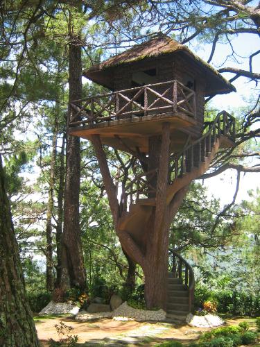 Tree house - Also part of our baguio trip last july, this picture was take at the Philippine Military Academy (PMA). I could'nt resist taking a picture of it, I find it really pretty. ^_^