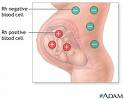 Blood Group - Blood Group