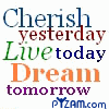 live icon - live saying icon