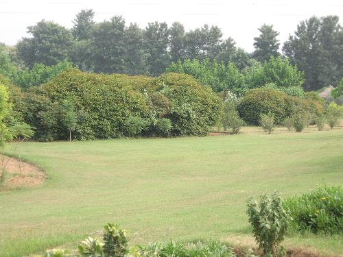 Site Scene 5 - Site scene 5