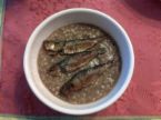 Champorado - Chocolate flavored rice porridge.. Champorado - Chocolate flavored rice porridge..