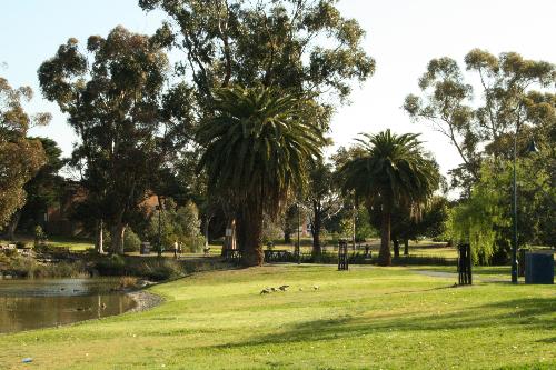 Essendon public park - Essendon public park Melbourne