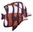 fish - Fishes of the Reef