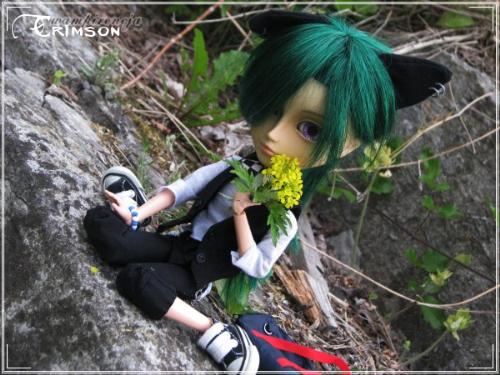 My doll! - Taeyang Sage turned into Crimson :)