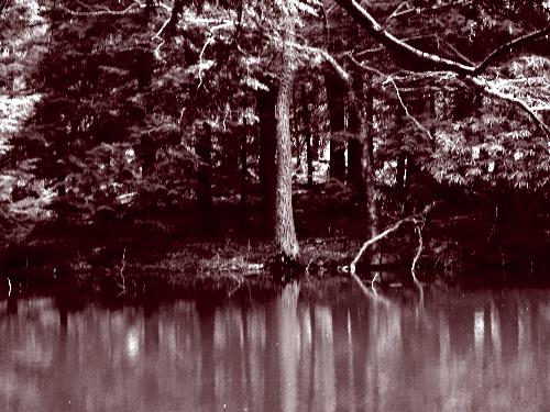 Pennsylvania - One of the beautiful sights in Pa