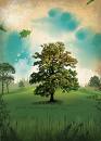 help save the earth, plant a tree - every tree is hope, every hope is life..plant a tree, save the earth