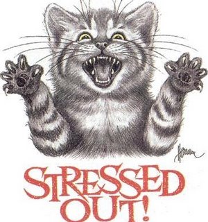 Stressed... - Stressed...