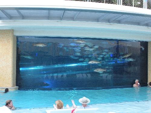 Pool inside Golden Nugget - This is the pool inside the Golden Nugget Casino/Hotel. It has a long (3 story) tube swimmers can slide through that goes right through the aquariam/shark tank.