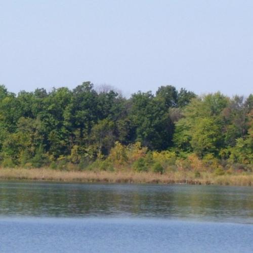 Wolf Lake - View across the lake from where I'm living on Wolf Lake in Jackson County, Michigan
