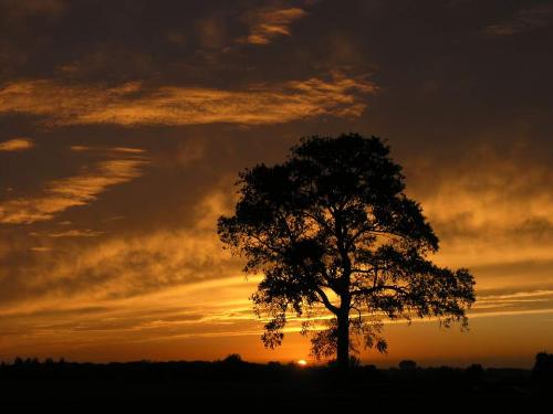 Sunrise - Sunrise and sunset are always beautiful