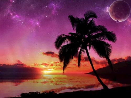 Sunrise - Sunrise and sunset are always beautiful