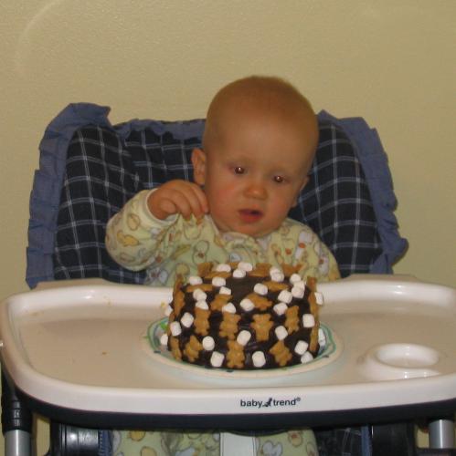 1sth Birthday Cake - 1st Birthday Cake. Made by Mom with love for her baby boy. Chocolate Covered with Teddy Gram Crackers and Marshmallows. Yum Yum