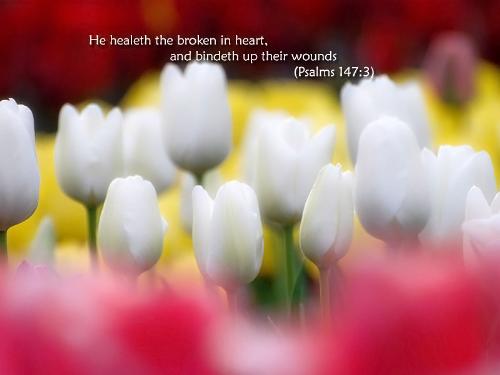 He heals the broken in heart (Wallpaper) - This wallpaper done by myself is a very beautiful verse saying, he heals the broken in heart and bind up their wounds. God Bless You All.