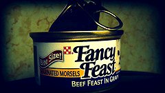 Cats love Fancy Feast - Never met a cat that didn't love Fancy Feast!!!