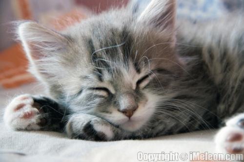 Sleeping - About Sleeping