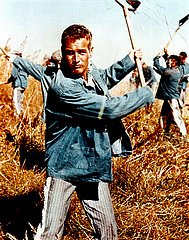 Cool Hand Luke!!! - One of his MOST sexiest roles!!! I could watch & have watched this movie over & over & over again. I think maybe tonight I will pull out my DVD & watch it again as a memorial to one of the BEST actors ever born!!!