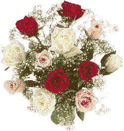 Flowers - Bunch of red and bone flowers
