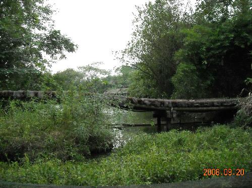 landscape - welcome to hangzhou