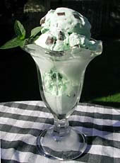 Mint Chocolate Chip - My favorite flavor