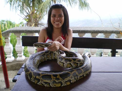 Me and a Big! Big! Snake! - Brave enough to hold that snake?! This photo was taken in Tagaytay zoo.