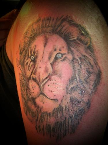 one of the tattoos I have done - This is the mighty scar , not from the lion king :P