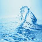 water - high quality pure water ...