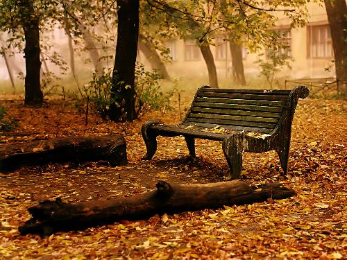 friends - Everybody needs friend....