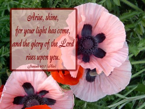 Glory of the Lord - Arise, shine, for your light has come, and the glory of the Lord rises upon you.