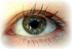 eyes - a picture of an eye