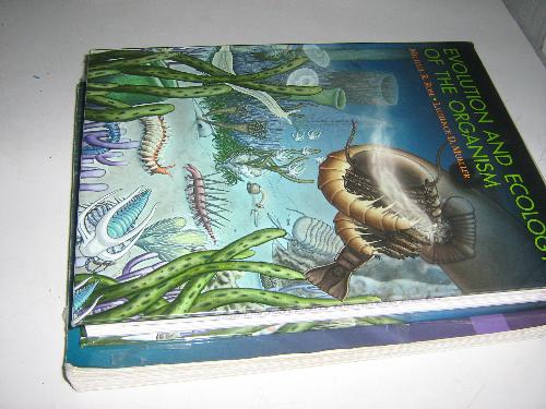 Travel through books - One can travel through books.