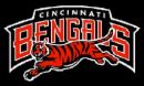 Cincinnati Bengals - Cincinnati Bengals logo